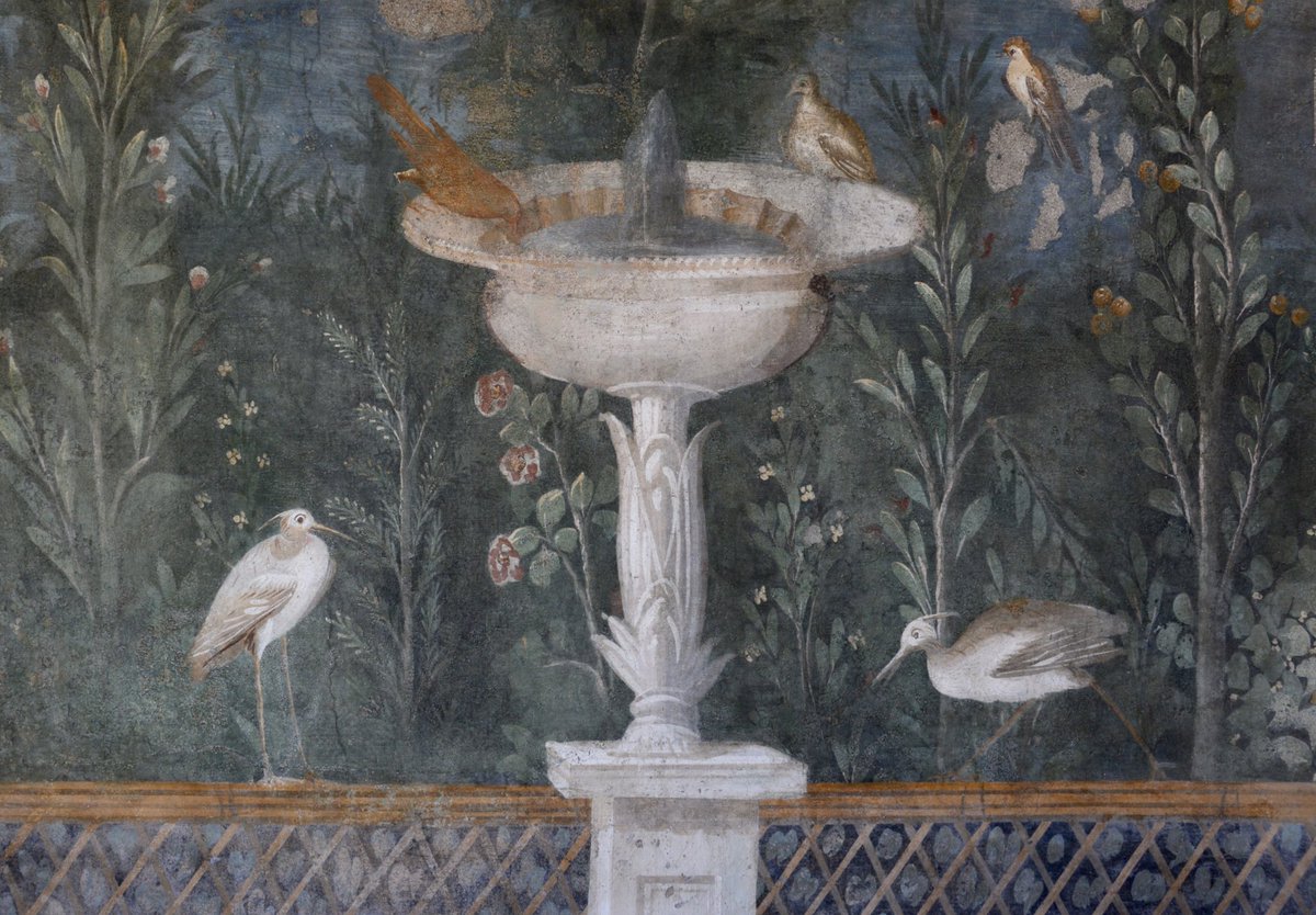 The bigger picture.  #Pompeii  #NationalBirdDay
