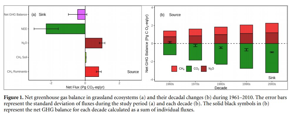 Sara Place tweet media