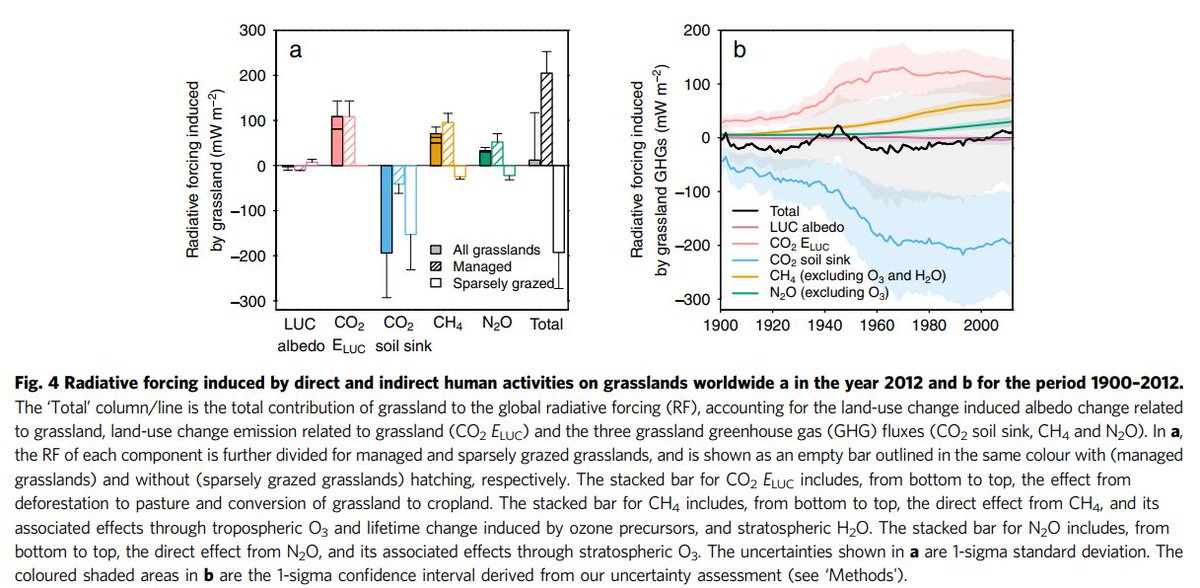 Sara Place tweet media