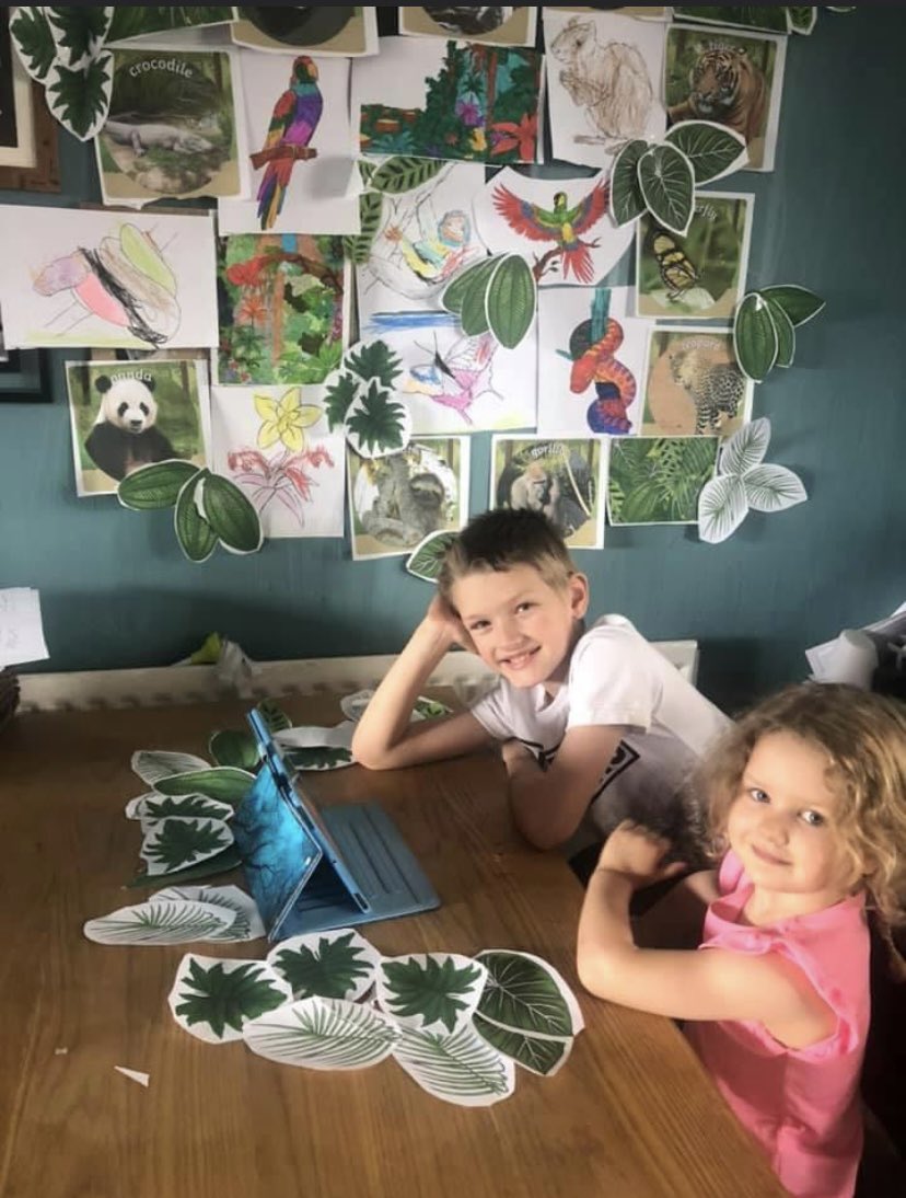 DMcD417's tweet photo. @jooleroo Don’t know if she would like it but we decorated dining room last lockdown when ethan had it as topic then they did a virtual tour of rainforest on YouTube. We did other stuff that day but think I’ve blocked it out. https://t.co/7VboOcsv6Q