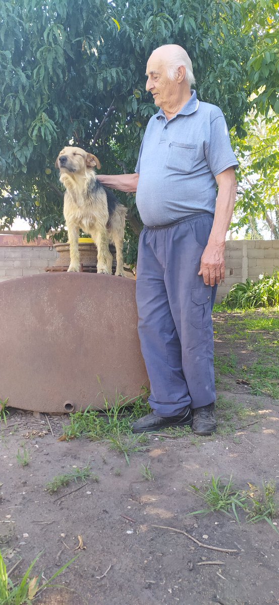 _kaldr's tweet photo. Dejo estas fotos por acá para que vean lo hermoso que es mi abuelo con el perrito que rescato hace dos años 🥺😭 https://t.co/ZhZXkjtP2H