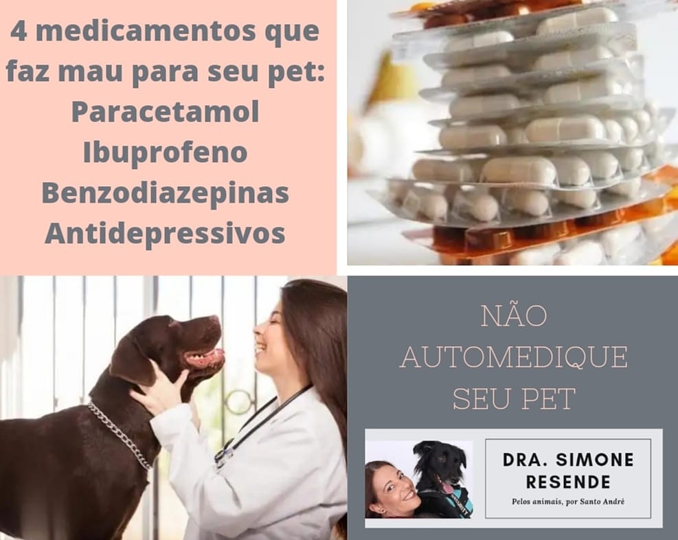 SimoneResende18's tweet photo. https://t.co/CSgSDmLUCY