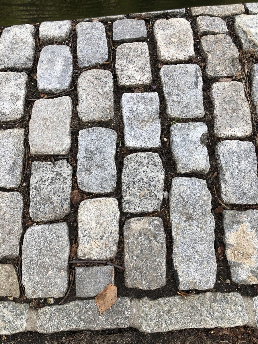 feldstej's tweet photo. #tuesdaymood #tuesdayphoto #tuesdaytrees #tuesdaywalk #tuesdaywellness #tuesdayvibe #tuesdayview #cityphotography #pathologistphotography #nyc #amateurphotography https://t.co/t1gwNQFLAX