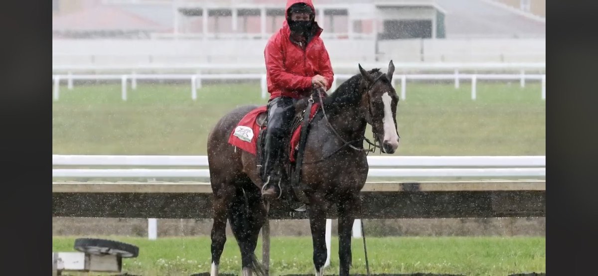 After becoming an outriding horse <a href="/CanterburyPark/">Canterbury Park</a> this past summer, this retired Iowa Bred will be making his next debut <a href="/SHRP/">Sam Houston Race Park</a> with <a href="/lanejohnston32/">Lane Johnston</a> in the irons! #iowaproud #jordanracing #ottb #nextchapter