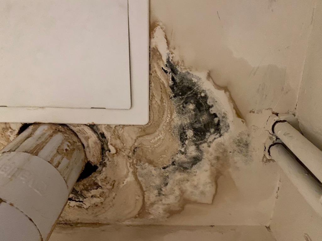 Brides4Less's tweet photo. @dkavi1 I am frustrated with the lack of response from @pa_housing My sister has been without heating and hot water since October, leaks &amp; moulding everywhere despite numerous emails and calls... no help! How can this get resolved?! https://t.co/khuZSkkYf0