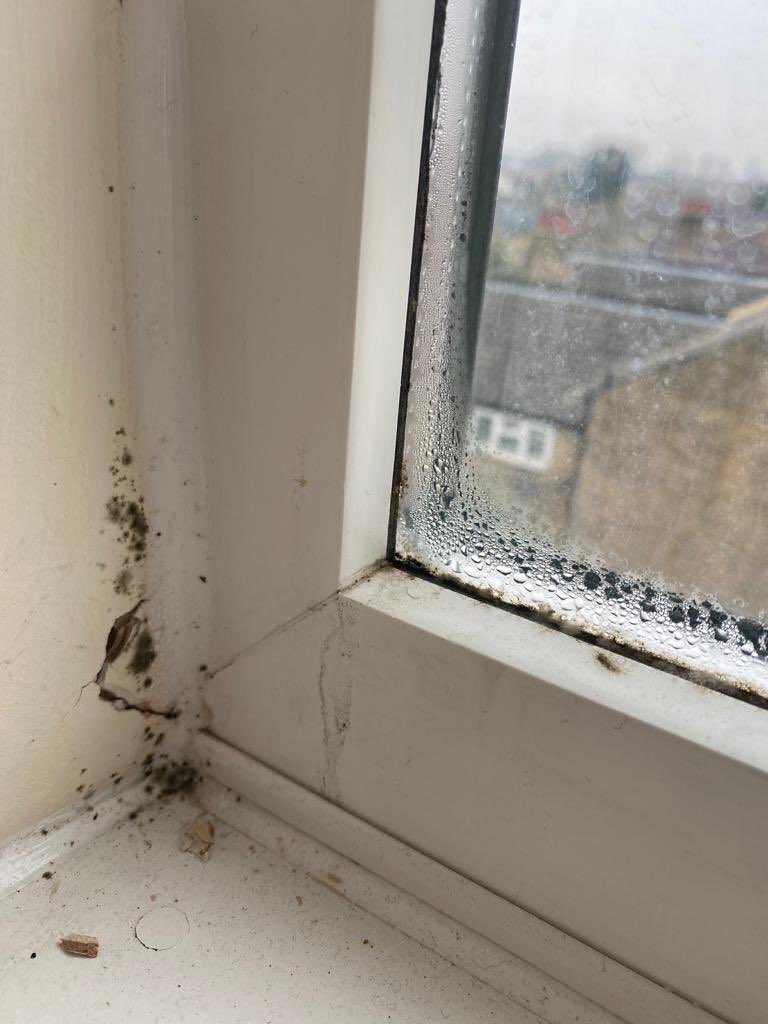 Brides4Less's tweet photo. @dkavi1 I am frustrated with the lack of response from @pa_housing My sister has been without heating and hot water since October, leaks &amp; moulding everywhere despite numerous emails and calls... no help! How can this get resolved?! https://t.co/khuZSkkYf0