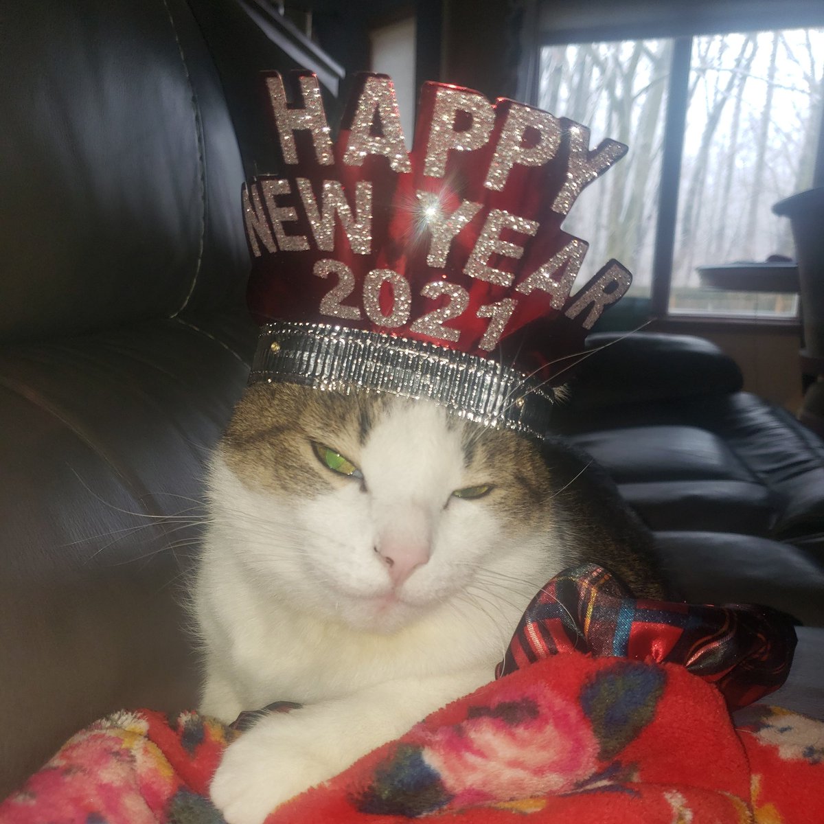 amyakasmiley's tweet photo. Bring it on 2021 https://t.co/JAIuqB1umI