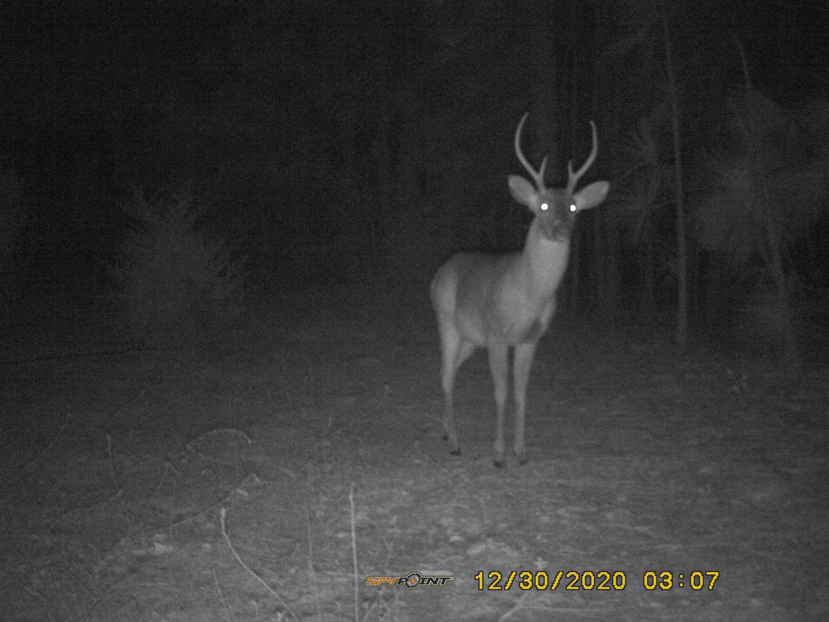 Mrs. Manning❤️🌎☁️🌱☀️ tweet media