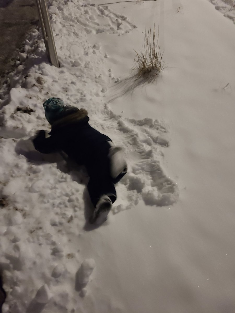 DavidEGMarshall's tweet photo. Curb extensions aren't just traffic calming measures - they're fit for snow angels! #bulbout #bumpout
Les saillies de trottoirs ne servent pas qu'à atténuer le traffic - elles se prêtent bien aux anges de neige ! https://t.co/GTk7QMTxMK