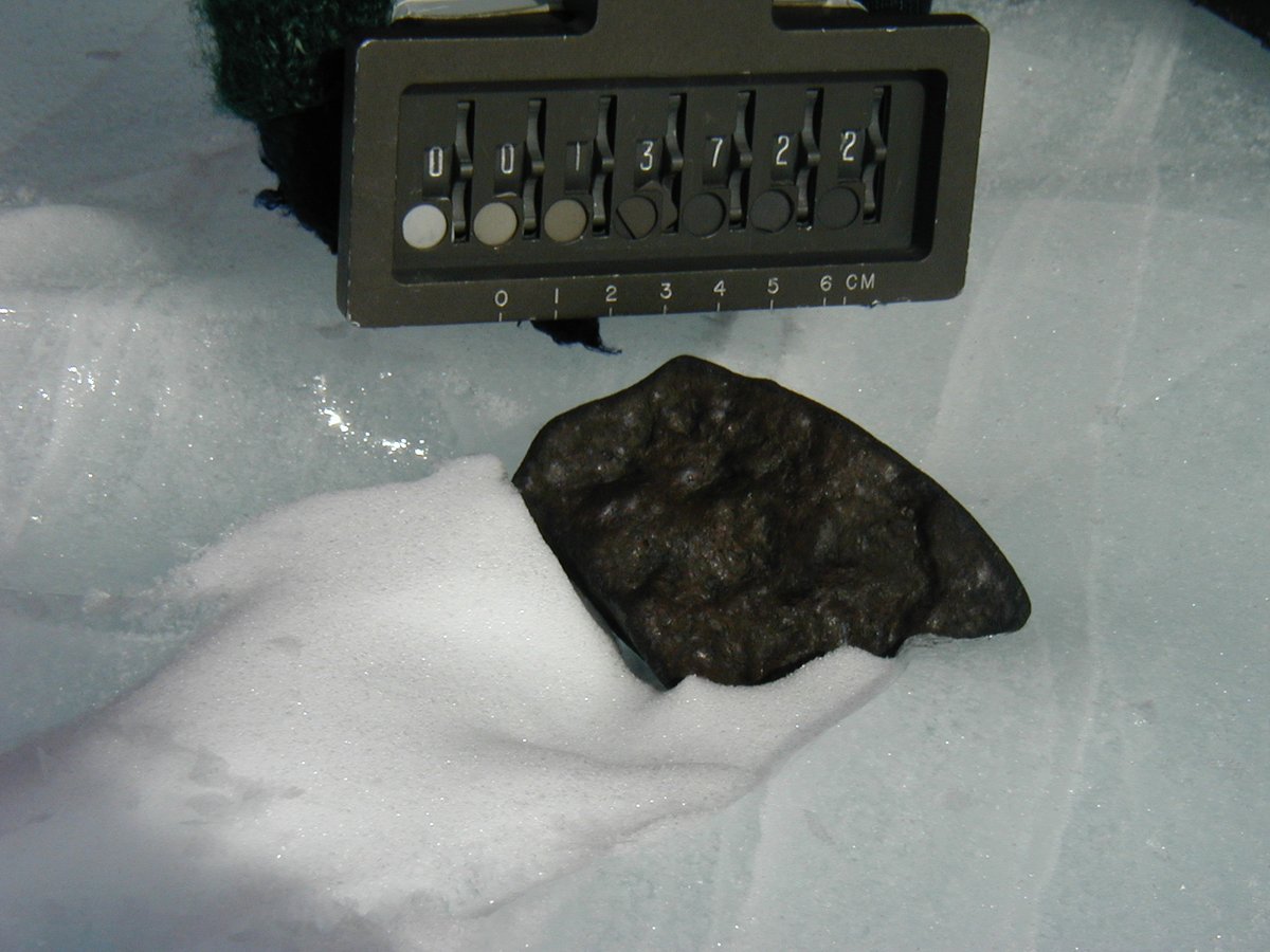 A few of the 21 meteorites found by  #ANSMET2000 team on January 3, 2001