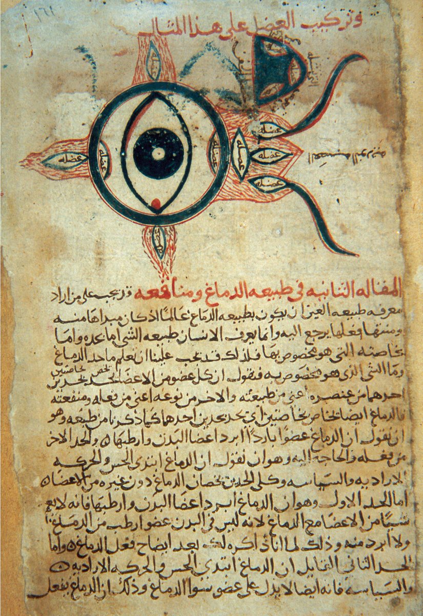 In the Abbasid empire, East Syrian Christians enjoyed imperial patronage as royal translators, physicians, and even secretaries to Muslim rulers. ~ahc  #jingjiao /8
