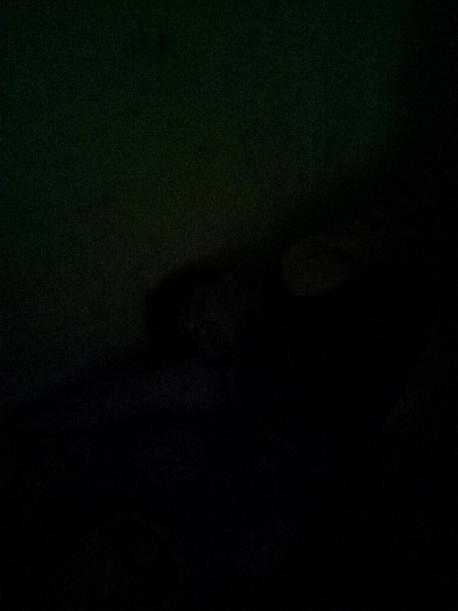 MuhammadGJ_'s tweet photo. @fcksleepless @Octhanioo @zxshisui @dckyfrnndo https://t.co/86w4MST8af
