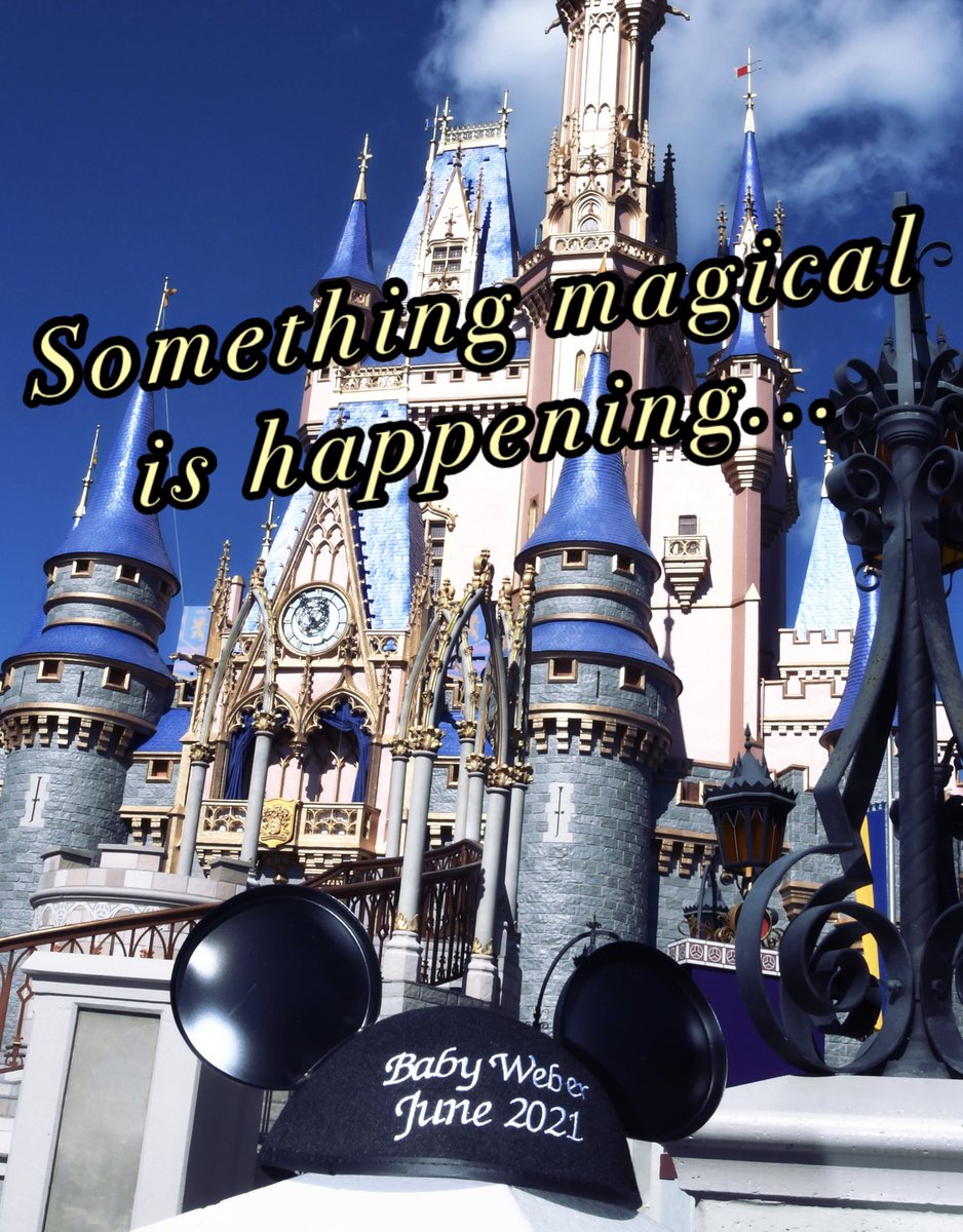 We are so excited to share that we’ll be bringing a new Disney fan into the world ☺️🏰 Baby Dubs due June 2021 ❤️