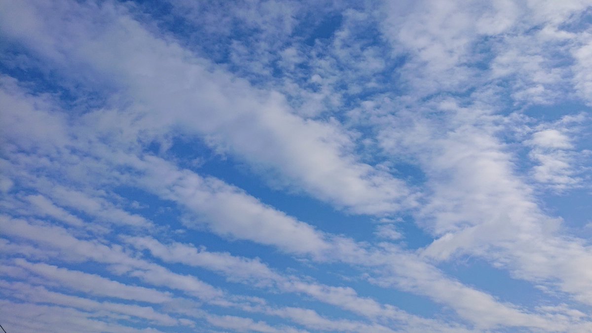 M03725602's tweet photo. おはようございます😃
今日からお仕事

#イマソラ https://t.co/BKkEaCSL3S