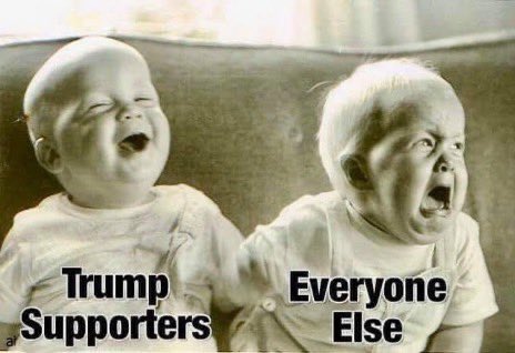 @avahardin1221 @ARaisinghell Every never Trumper in DC right now.😂😂