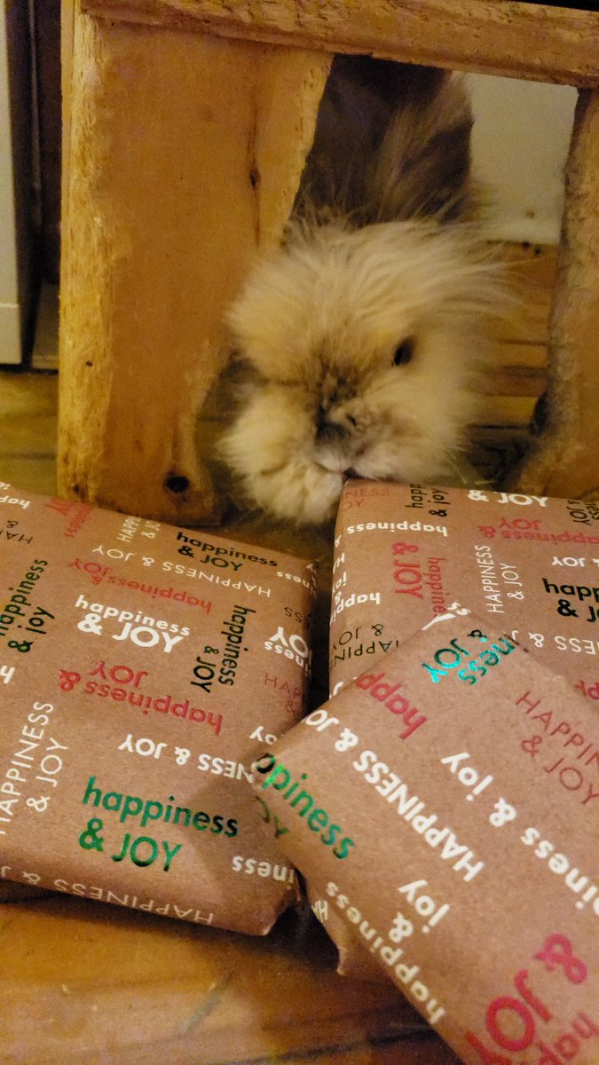 moxie_baby's tweet photo. #20bss thank you so much, Secret Santa! I love all my goodies so much I tried to hide them in my litter box. 
A big thank you to @SehtiSehti for organizing another great year. https://t.co/EQkDV2mxSl