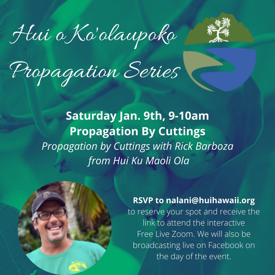 HuioKoolaupoko's tweet photo. Join us for a virtual propagation lesson this Saturday https://t.co/S6EOUfwh7w https://t.co/aOATP0R0BP