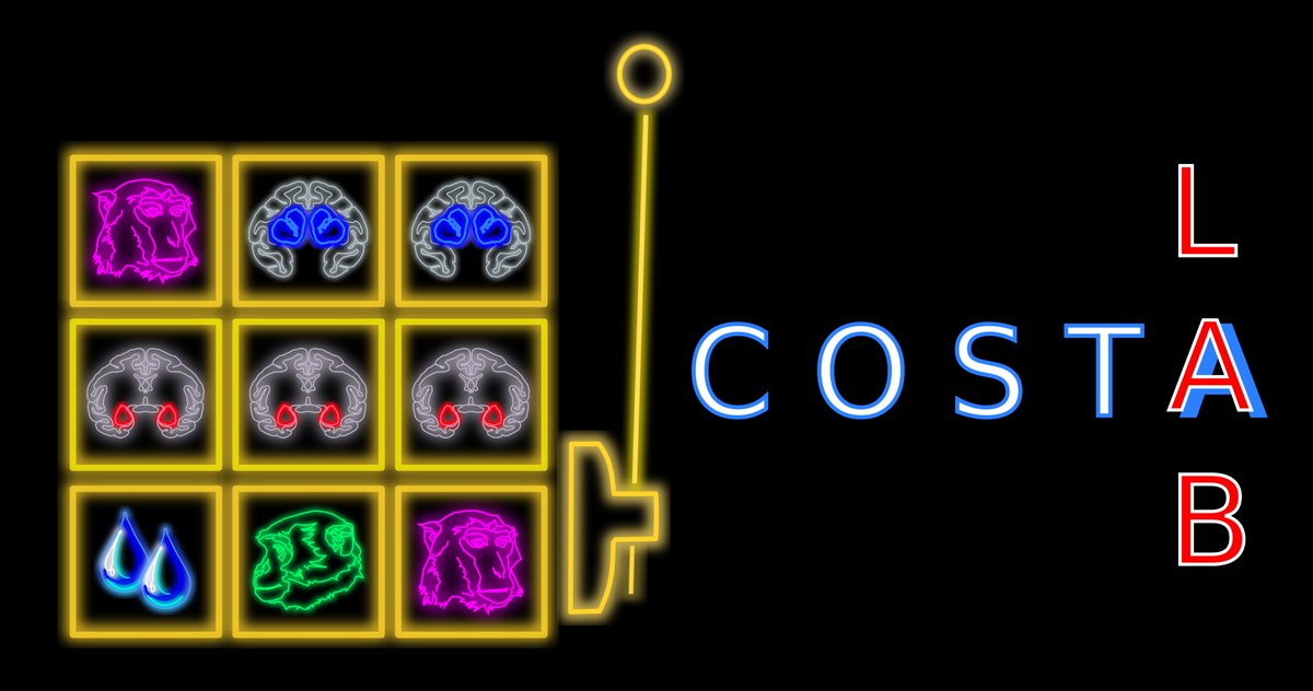 Now that we have some data trickling out for #SfNConnectome21 decided we needed a lab logo. It's no coat of arms but it scratches the itch for now.
