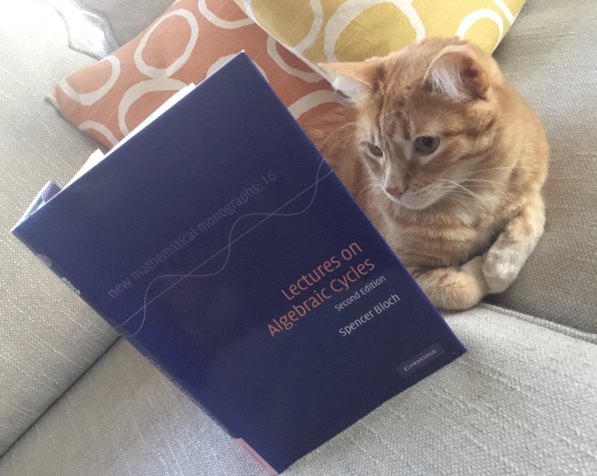 DianaGillooly's tweet photo. @cambUP_maths Mackey Functor getting the ball rolling #mathsCUPets #mathscats #mathcats #JMM2021 https://t.co/BuK5mU6iKA