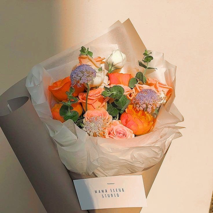 gitforyou's tweet image. ➳ De: Bela.
➳ Para: @wonderfiltr 

➳ bem... aqui vão algumas frutinhas pra você. 🍓🍒🍑🍊🥭🍍🍌🍋🍈🍏 espero que coma! 😾💐