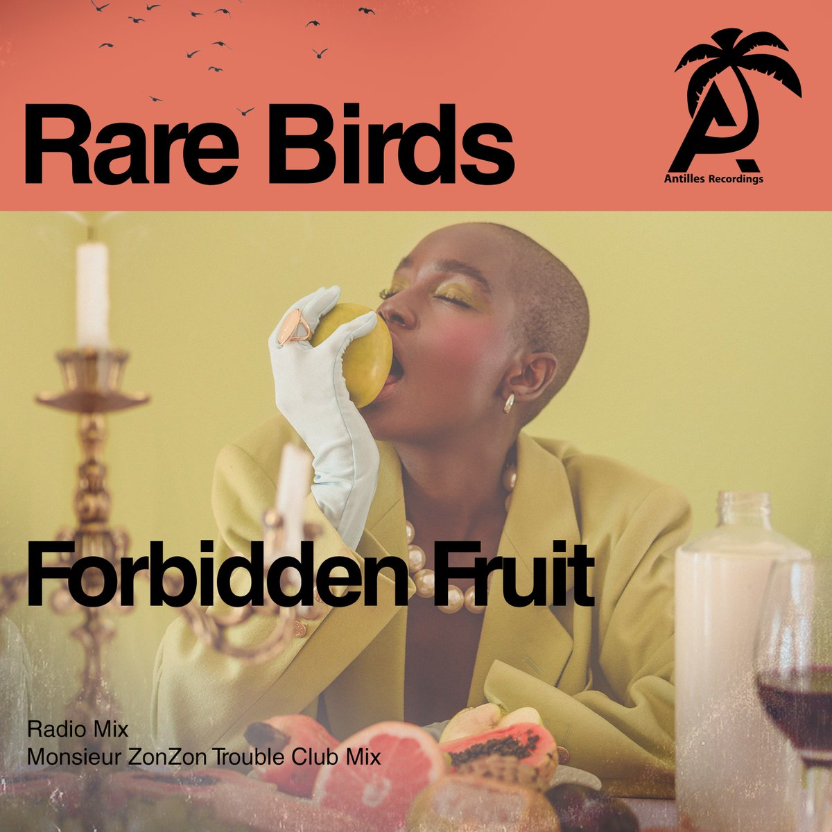 Nate_EMG_Music's tweet photo. Check out Rare Birds's new release, "Forbidden Fruit". Out Friday, Jan. 15, 2021. #Rare_Birds #Antilles_Recordings #EssentialMG #pop #electronic #music #popmusic #art #musician #artist #dance #instamusic #newmusic #indie #guitar #spotify https://t.co/gAL5GsQ1DM