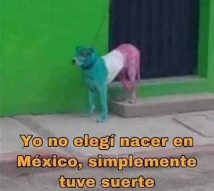 AiletMin's tweet photo. @ClaromusicaMX @bts_bighit Agradecida con el de arriba https://t.co/vLNPOeR2Kp