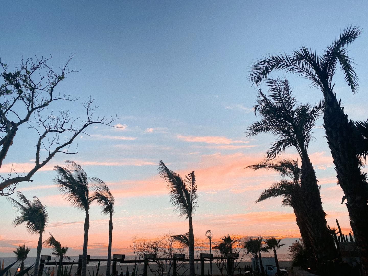 Solfest Los Cabos (SolfestLosCabos) / Twitter