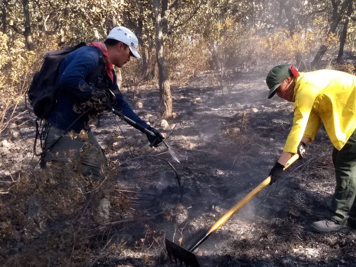 bosquenixticuil's tweet photo. Hoy otro #incendioforestal cerca de la zona quemada ayer, en represalia por denunciar a los sujetos que nos bloquearon el paso e intentaron intimidarnos. Llamamos a estar atentos y responsabilizamos a @PabloLemusN del hostigamiento que nos pone en riesgo y genera daños al #bosque https://t.co/pg9jZinWo3