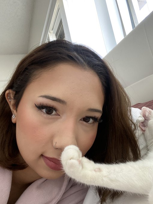 🐾 *boop * https://t.co/INNlNIcc9s<a href="/tag/manyvids"class="tags"><span>#manyvids</span></a>