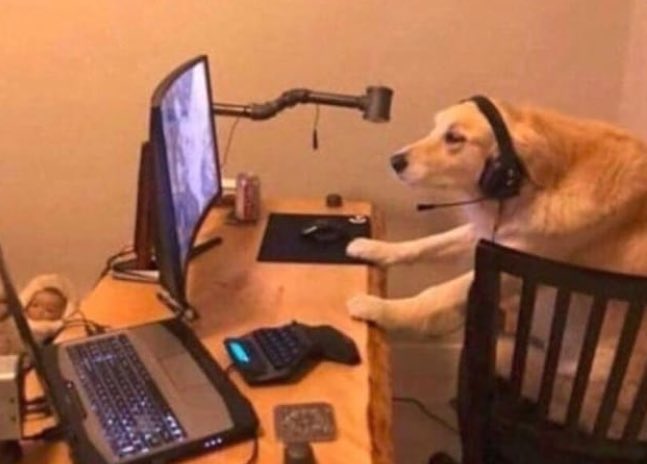 How I see myself gaming
How others see me gaming