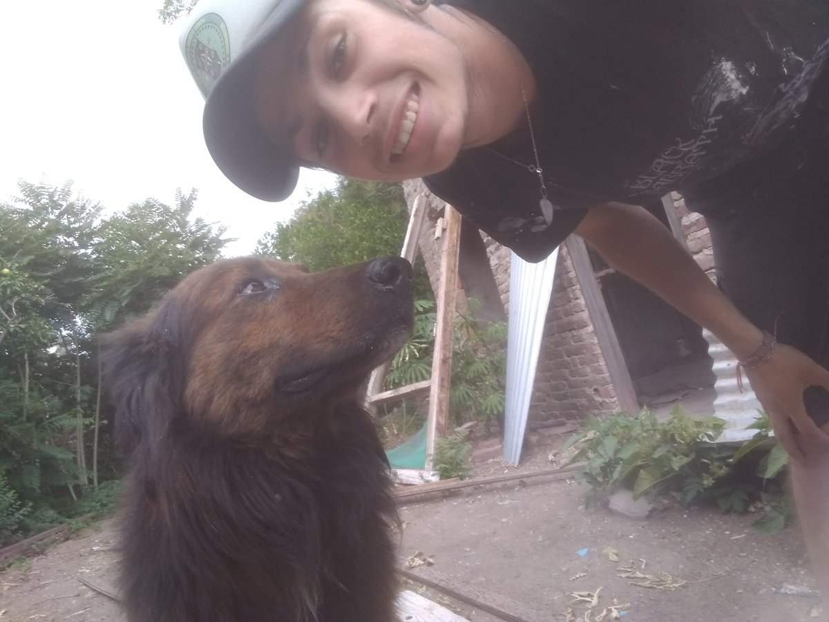 Nose que tan basura puede ser la persona que dejó tirado a este hermoso perro!!!