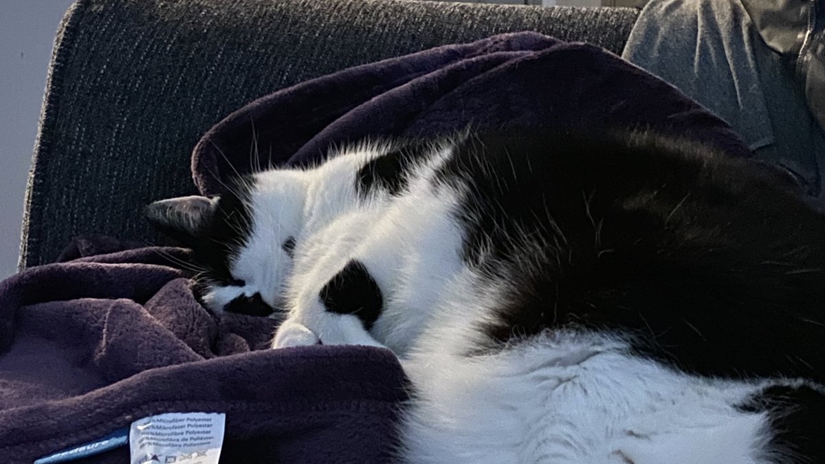 First, let's go over the benefits of being drier than Betty White:1) Better sleepAlcohol is a depressant.That makes it easier to FALL asleep.But alcohol wearing off is EXCITATORY.That makes it harder to STAY asleep.Less sauce = More sleep.