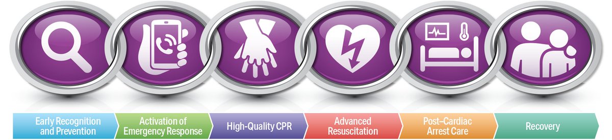 RQIPartners's tweet photo. Since the 2020 AHA Guidelines for CPR & ECC release, a Recovery link has been added to the Chain of Survival for in-hospital cardiac arrest in infants, children, and adolescents based on guidance. Learn more at https://t.co/egWhuVZCdF. #AHAGuidelines #CPRsaveslives https://t.co/AUNdEaWTJS