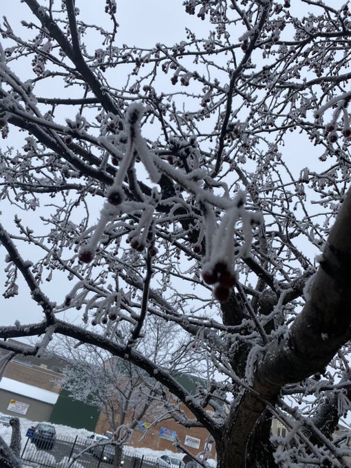Freezing fog. The Midwest is weird af. https://t.co/idBVwMIusu<a href="/tag/cannabis"class="tags"><span>#cannabis</span></a><a href="/tag/weed"class="tags"><span>#weed</span></a><a href="/tag/cannabisculture"class="tags"><span>#cannabisculture</span></a><a href="/tag/weedsmokers"class="tags"><span>#weedsmokers</span></a>