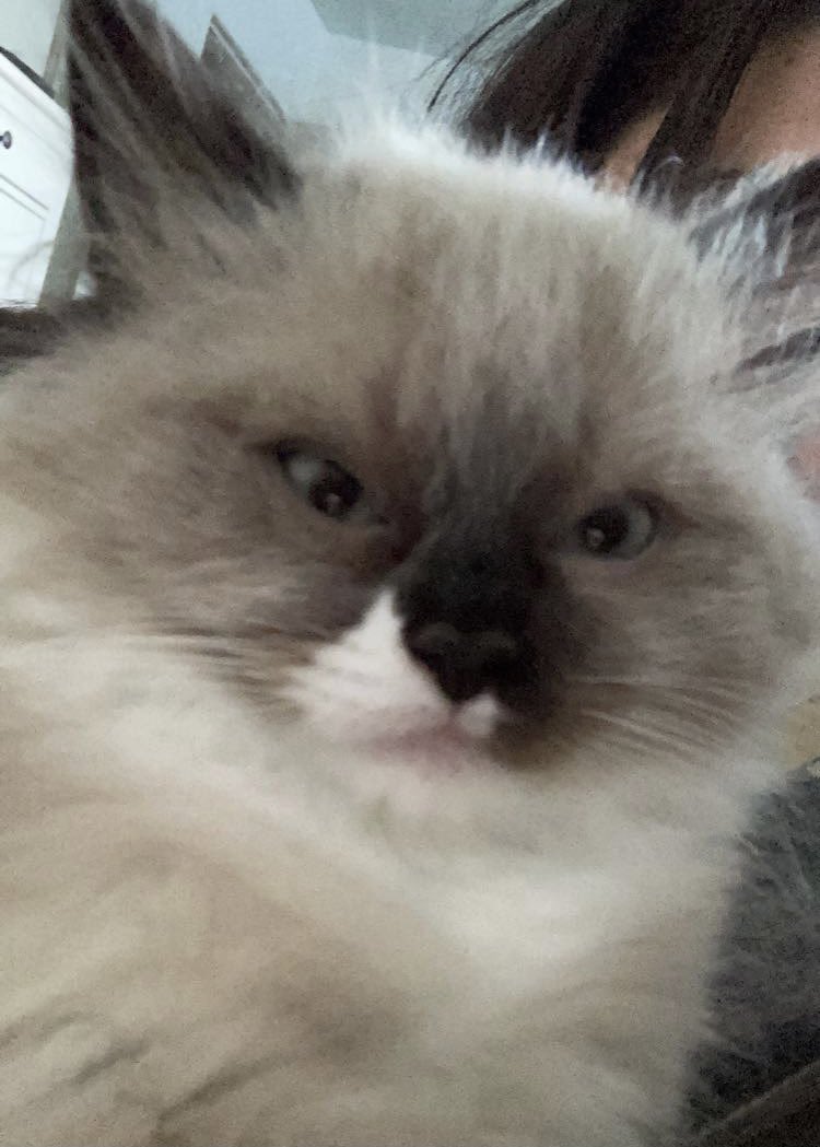 When you open your front camera #edgar