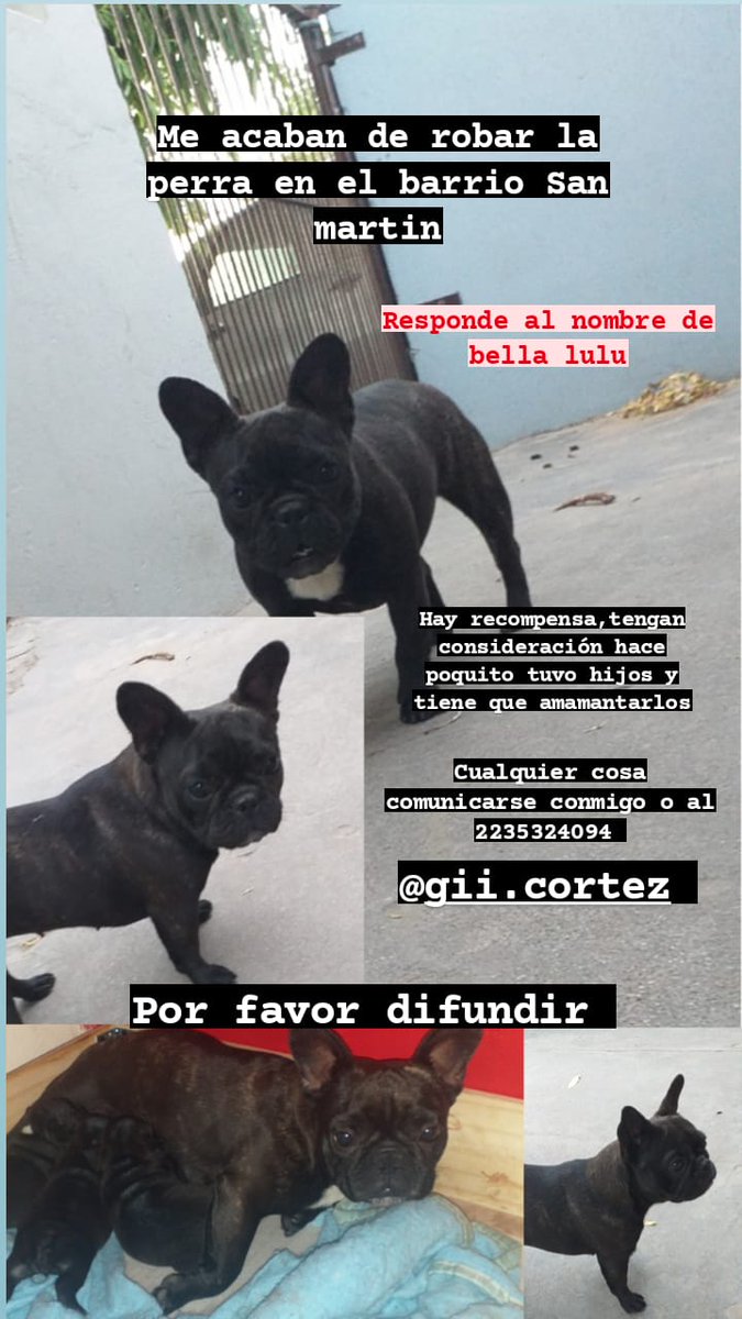 Gicortez01's tweet photo. Por favor difundan https://t.co/bvSWgNggG7