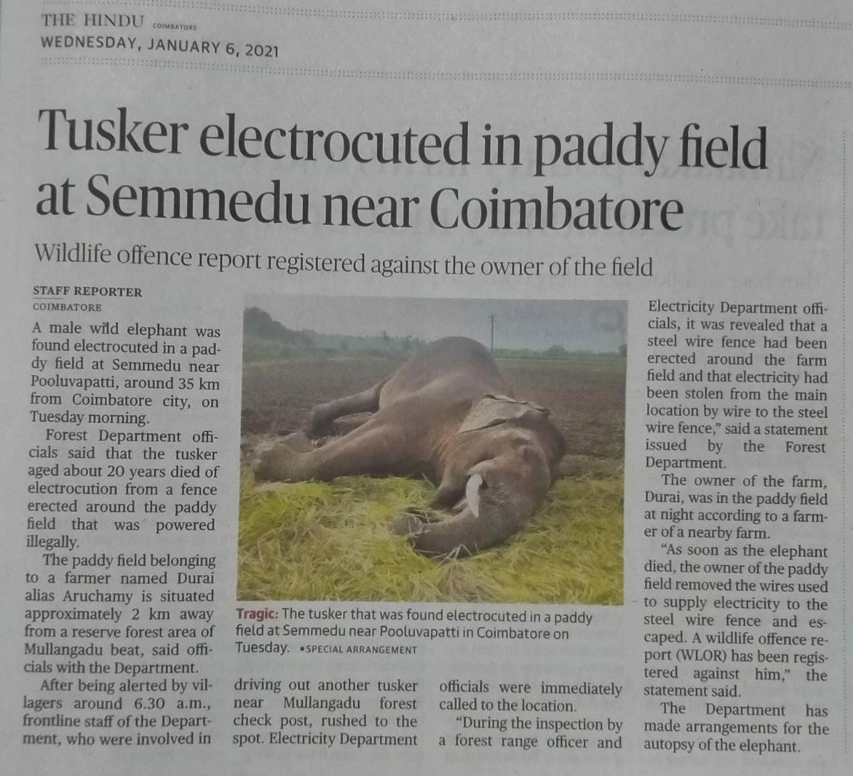 poor farmer has given connection to the electric fence from EB mains supply , which is illegal. The normal method is to give a low voltage solar pulse which deters the elephants without harming them. The farmer ran away after seeing the dead elephant. Incident widely reported