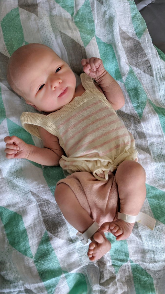 Pretty pleased with this 2021 gift. World, meet Sutton Shae Barrett. She's 6lbs of sweetness and determination