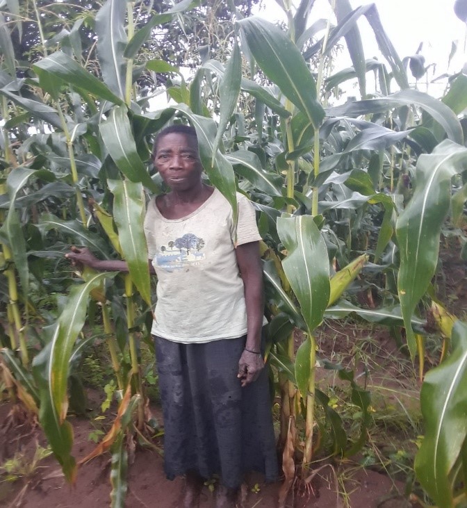 PhanesGroup's tweet photo. Happy to see our Livelihood Restoration Program making a difference in Malawi to Mercy, a widow with 4 children. Her life depends on agriculture and this project will support future growing seasons and her children with skills training
#solar #solarenergy #renewables #Africa https://t.co/X0EXYQqdWi