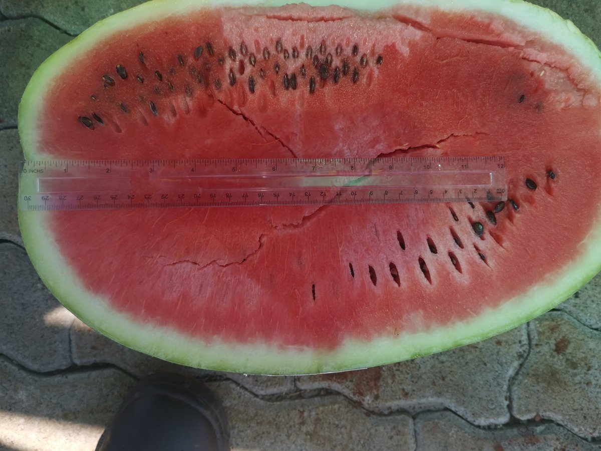 Silas Mutota tweet media