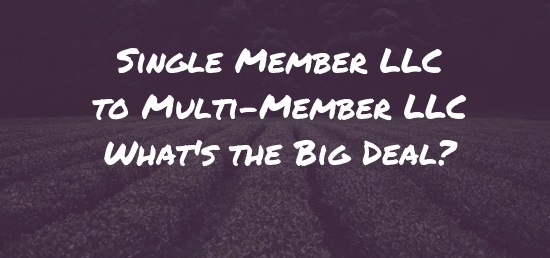 Single Member LLC vs Multi Member LLC - [Definitive Guide 2021] 
Single member LLC vs multi member LLC  Read this article to learn about the key differences between these two types of LLCs and how to choose one.

cognovision.com/single-member-… 

#LLC #singlememberllc #business #Growth