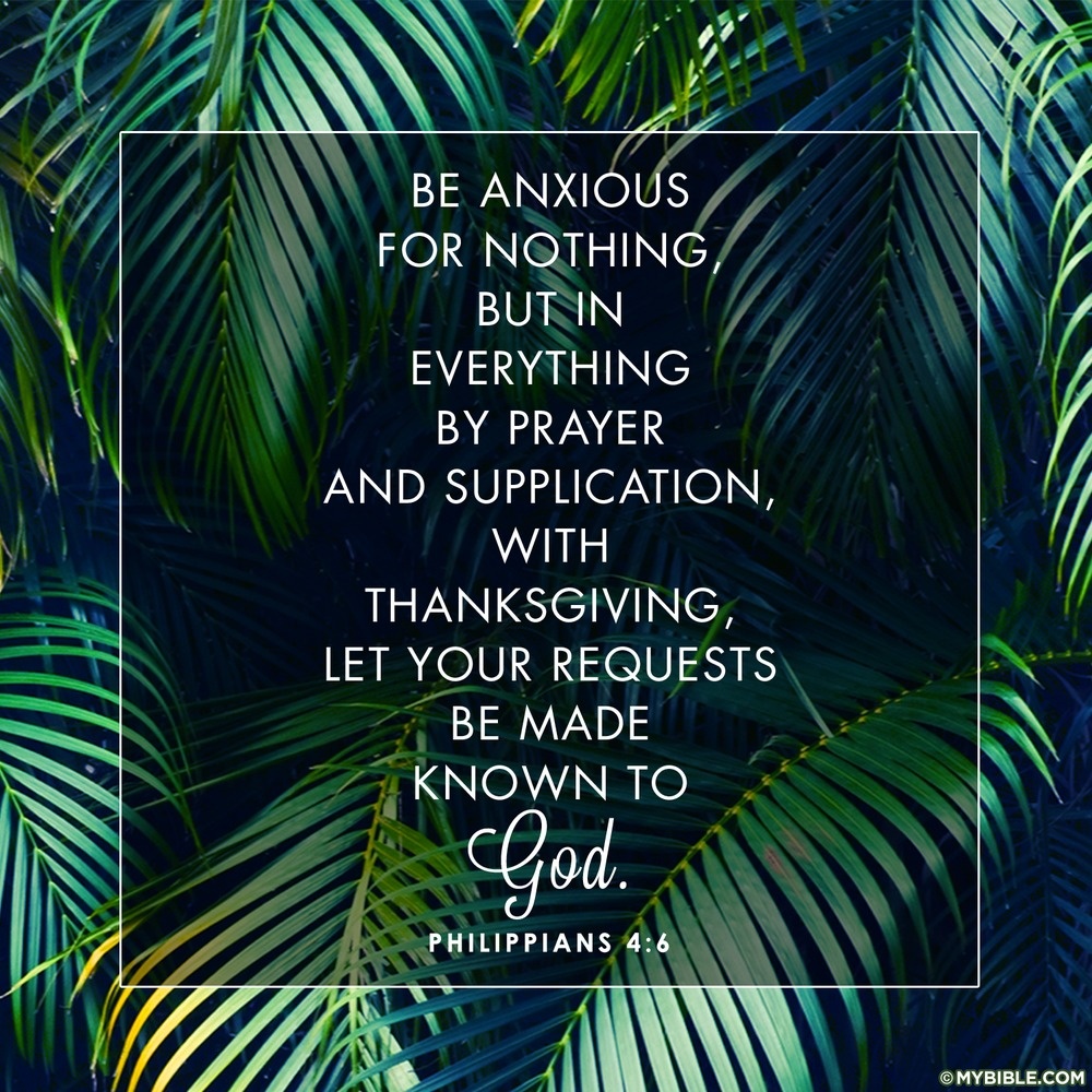 appendnetwork's tweet photo. "Do not be anxious about anything, but in every situation, by prayer and petition, with thanksgiving, present your requests to God." (Phil 4:6) If you want to experience the peace of God, choose to respond to various situations by faith rather than simply reacting by feelings. https://t.co/8spB26jkED