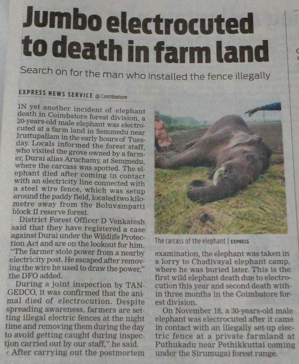 poor farmer has given connection to the electric fence from EB mains supply , which is illegal. The normal method is to give a low voltage solar pulse which deters the elephants without harming them. The farmer ran away after seeing the dead elephant. Incident widely reported