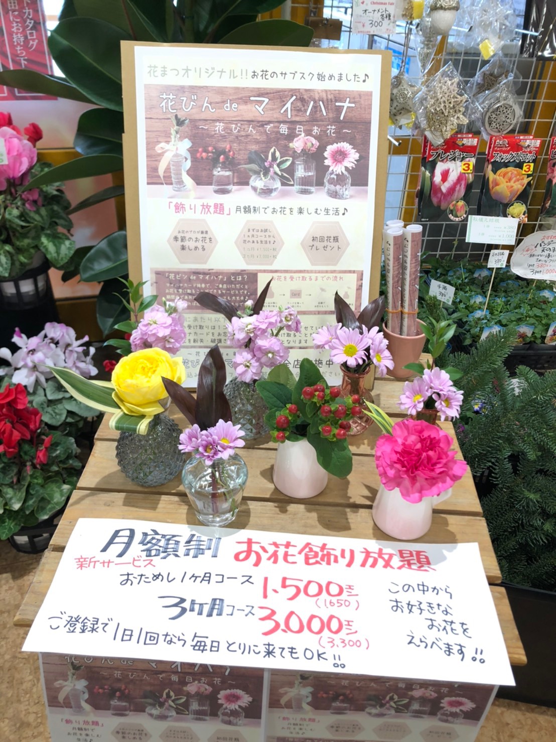تويتر 花まつ 10月プレゼント キャンペーンあります على تويتر 大好評 花まつではお花のサブスク マイハナ を展開しています 毎日の暮らしに寄り添うかわいいお花が毎日もらえるサービスです 花まつ 花のある暮らし マイハナ