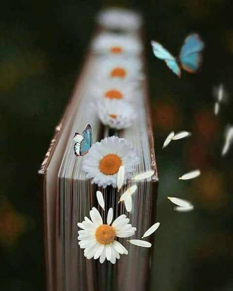 الأشخاص الذين يتم خِداعهمـ مرارًا وتكرارًا ، همــ يعرفون ، يعرفون أنه بــ هذا الموقف يتم خِداعهمـ ، يعرفون بــ أنهم يجرحون ، يتم إستغفالهمـ ومع ذلك يستمرون بــ الحُب بــ الغفران ، ليسوا مُغفلين ، إنما من الصعب أن ينسلخ المرء عن طبيعته

 #صباح_الخير