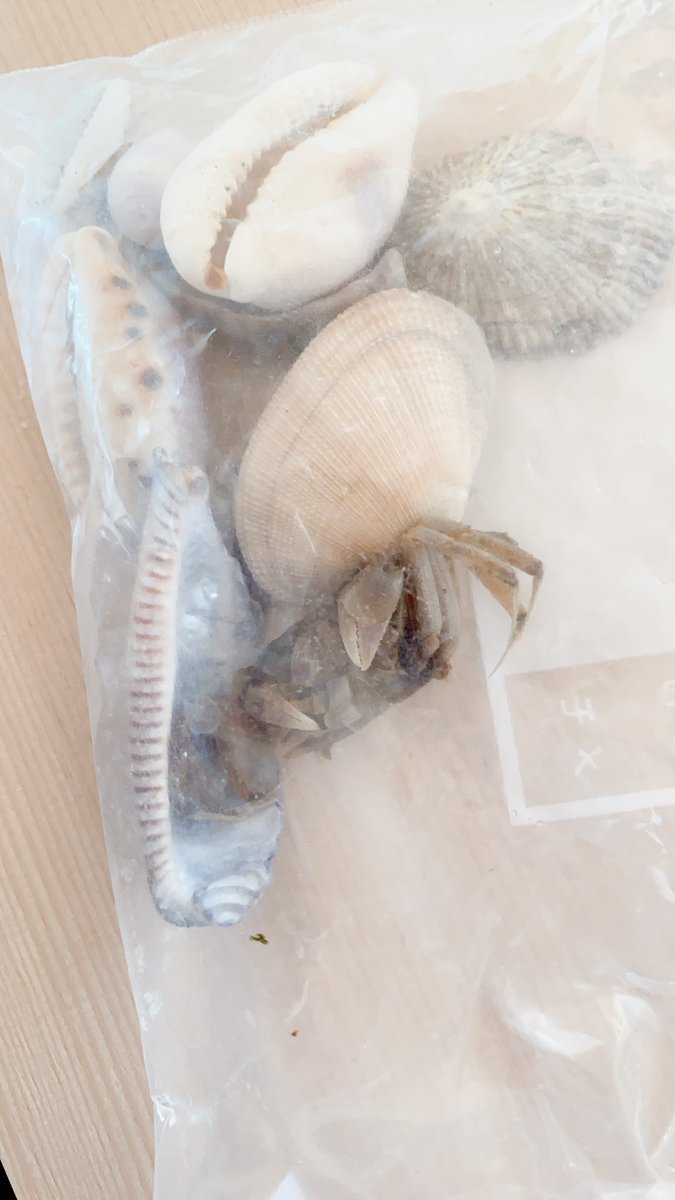 松 (ume_take_matsu_) Twitter