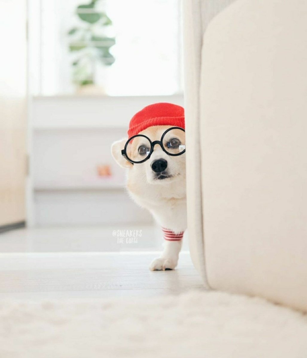 Penelope Featherington