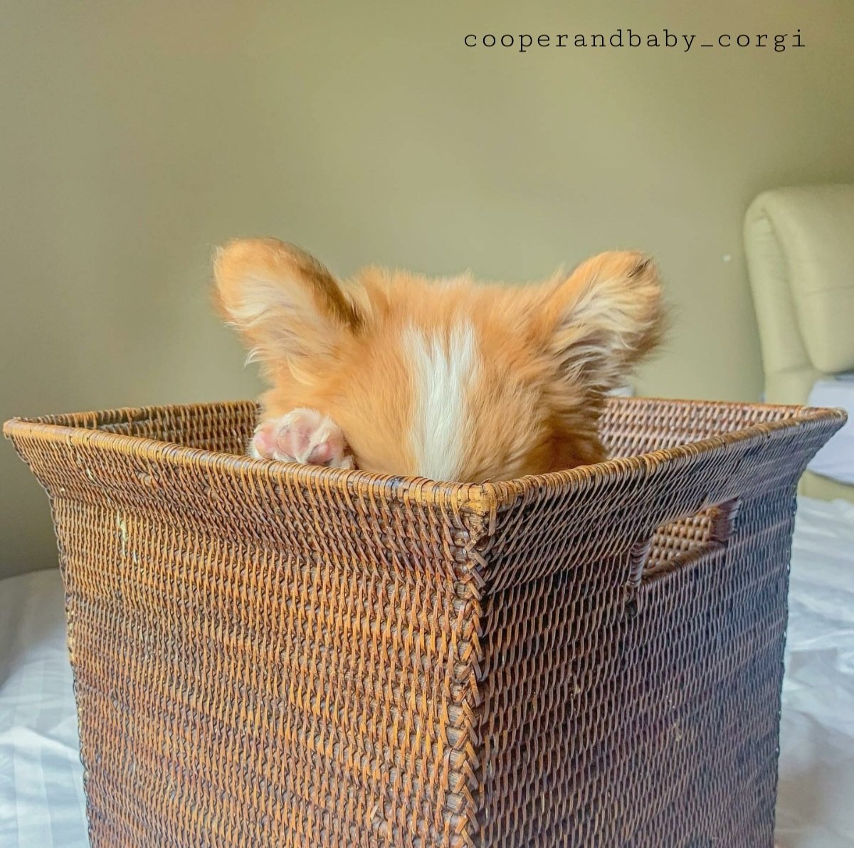 Francesca Bridgerton