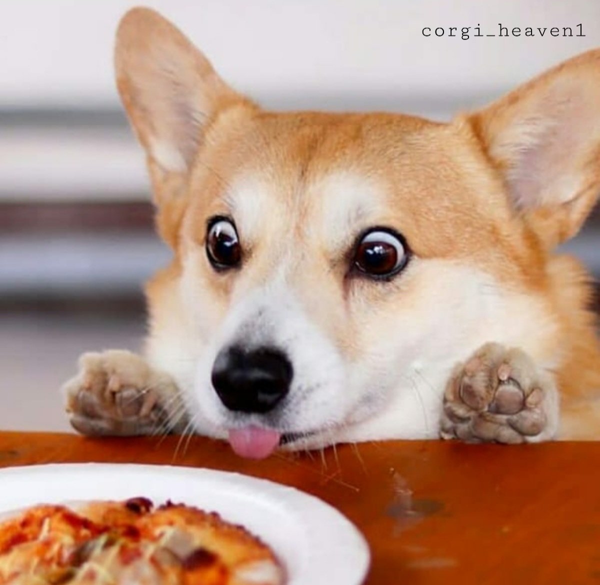 Colin Bridgerton (again)