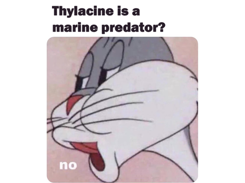 The idea of the thylacine as a marine predator persisted well through the 20th Century, to as late as Roedelberger (1967). All this in spite of the fact that Gunn strongly refuted any such nonsense way back in 1838. 7/12